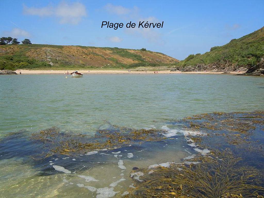 156 BELLE ILE EN MER BANGOR_000026.jpg
